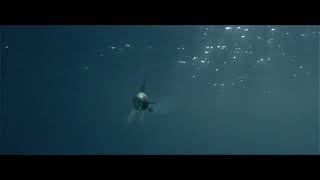 Cover art for Plastic Beach Teaser #10: Sub