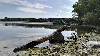 Ловля леща на минском море 21 августа 2020