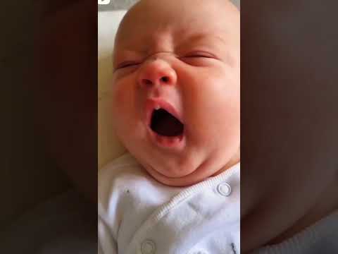 cute baby status 😘😘#chunnumunnu #trending #viralvideo #cutebabystatus #shortsfeed #shortsvideo #baby