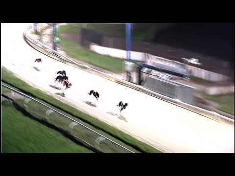 HAVANA LOVER   2022 St Leger