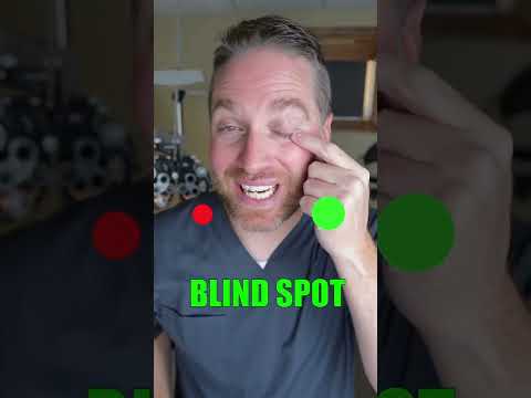 How To Find Your Eye's Blind Spot #shorts