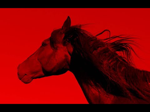 WAR! THE RED HORSE IS LOOSED ... SOON!