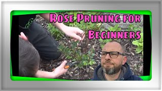 preview picture of video 'How to Prune Roses - Full Renovation'