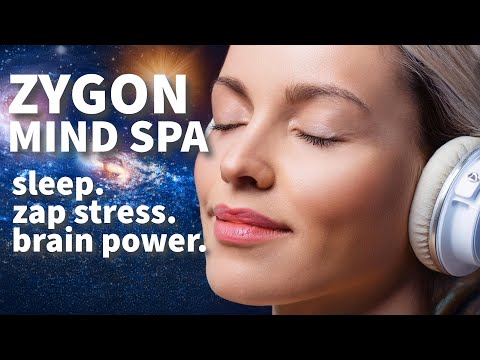Zygon | Mind Spa
