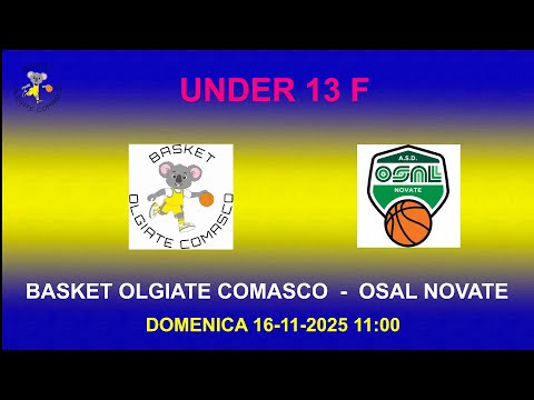 UNDER 13 FEMM   BASKET OLGIATE C. - OSAL NOVATE DOM 16-11-25 11:00