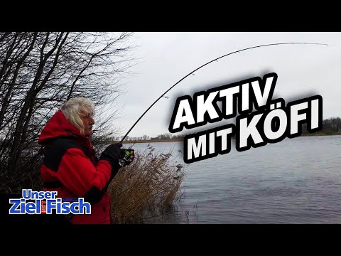 DROPSHOT with BAITFISH for ZANDER & PIKE - Our goal is fish - Fishing school with Jörg Ovens