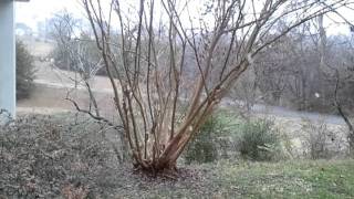 ITS STARTING TO SNOW