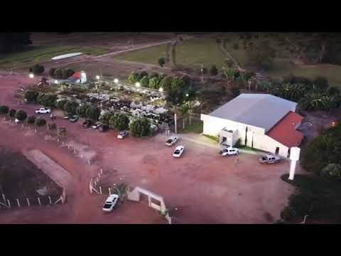 BRASIL LEILÕES - SÃO LUIS DE MONTES BELOS - GO -19/08/2026