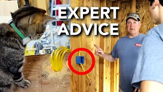 Electrical Rough In with a Building Inspector | Abandoned Shed to Tiny House