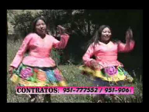 Cantinero - Bellas Matadoras