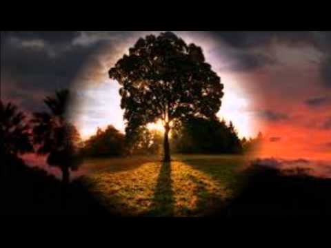 Serenata pra Deus -  Pr André Etzberger