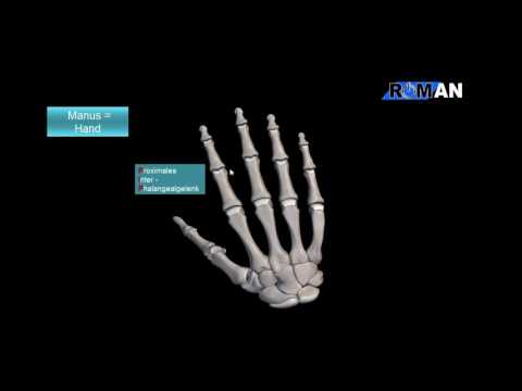 Taubheit der Beine für Rückenschmerzen Myositis Muskeln zurück in Osteochondrose