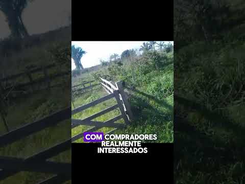FAZENDA À VENDA EM RONDÔNIA – OPORTUNIDADE REAL