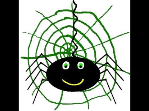 animated spider.avi