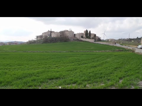 Rauric, Llorac – Tarragona (España)