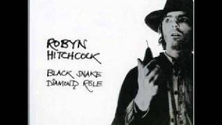 Robyn Hitchcock - I watch the cars