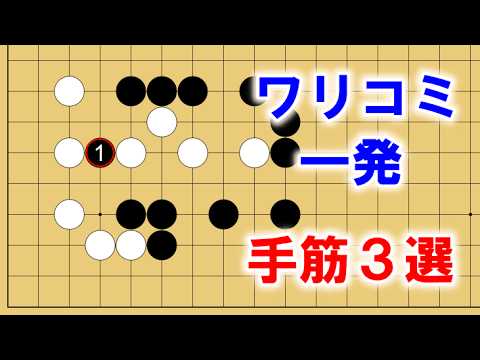 なぜツゲの蛾捕りを作るのですか？万全の予防！  庭園