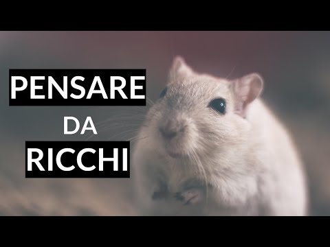 download lagu mp3 mp4 Pensare Da Ricchi, download lagu Pensare Da Ricchi gratis, unduh video klip Pensare Da Ricchi