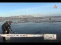 Сельдь массово выбрасывается на берег Охотского моря 