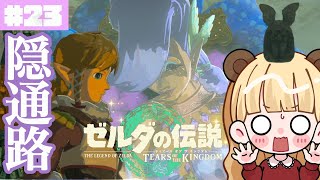 監視砦の地下にこんな場所があったとは…いざ次なる場所へ#23【ゼルダの伝説 ティアーズ オブ ザ キングダム】
