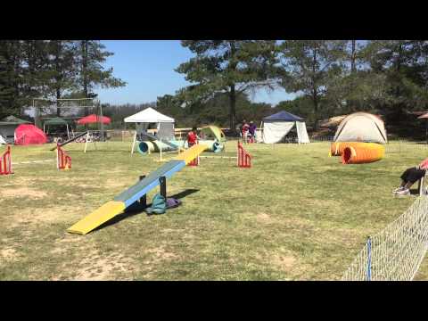 Bev and Pixie - Starters Standard