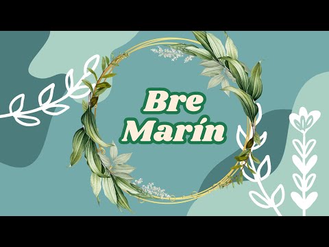 Video representativo