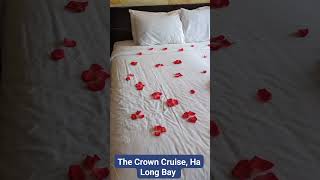 Ha Long Bay night stay at luxury cruise #travel  #viralvideo #trending #shorts #viralshorts