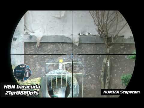 GAMO Coyote Whisper. 22 on a card at 50Meters shooting H&N baracuda 21gr@860pfs 👌