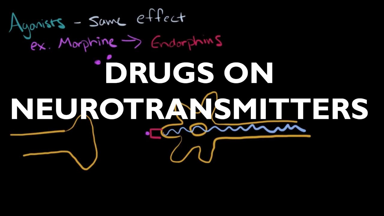 The Influence of Drugs on Neurotransmitters - AP Psychology