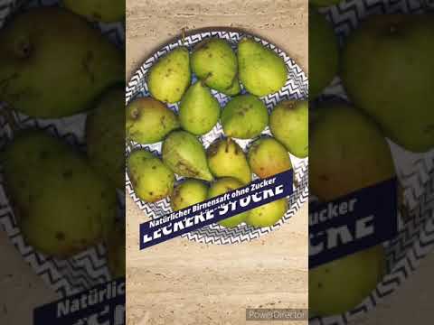 Natürlicher Birnensaft ohne Zucker und andere künstliche Zutaten