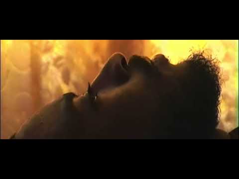 HOTBOY CHADO - BIRDS EYE VIEW (VISUALIZER)