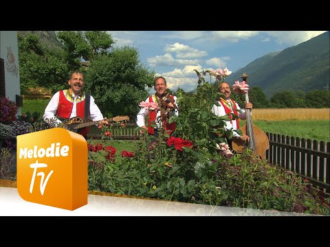 Zellberg Buam - 3 Briada spiel'n auf (Offizielles Musikvideo)
