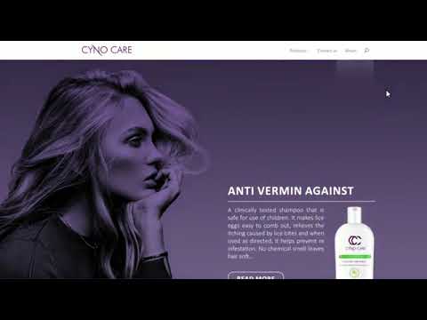 Webnobby Designed Website Themes Are Taking the Internet by Storm