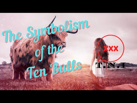 The Symbolism of the Ten Bulls Part 2