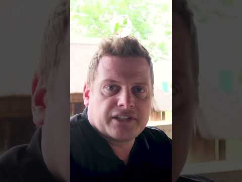 Mossberg Patriot Review: It's pretty, but....