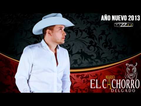 Año Nuevo 2013 - Mario "El Cachorro" Delgado