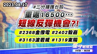 【量子戰情室】#陳武傑 0817 #三分鐘護台股 重返16500…短線反彈機會?!#2368金像電#2402毅嘉#3163波若威#1319東陽 (圖)