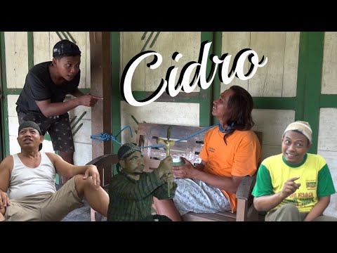 cidro-komedi-wagundeso