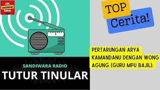 Download lagu Pertarungan ARYA KAMANDANU vs WONG AGUNG (Guru Mpu Bajil)! mp3