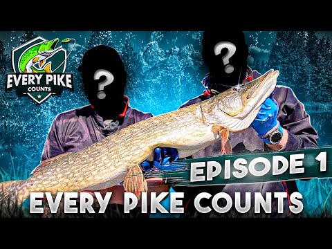 EVERY PIKE COUNTS 2023 with Happy Angler | Episode 1 [ENG SUB]