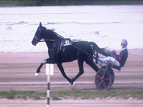 Trotto 16/04/2019 - 4ª corsa