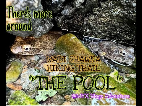 Wadi Shawka Hiking Trail - Part 2 - "The Pool"