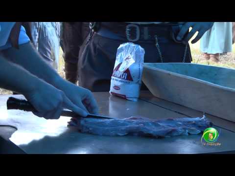 23º Entrevero de Peões» Peão» Prova Campeira» 7ª RT» Édipo Alex da Rosa