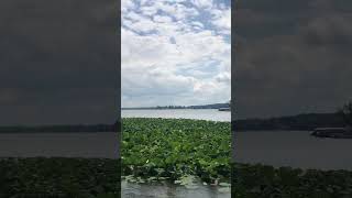 Johnsburg Illinois #shorts