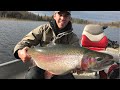 Video Thumbnail for Huge Rainbow Trout- Oct 14, 2017
