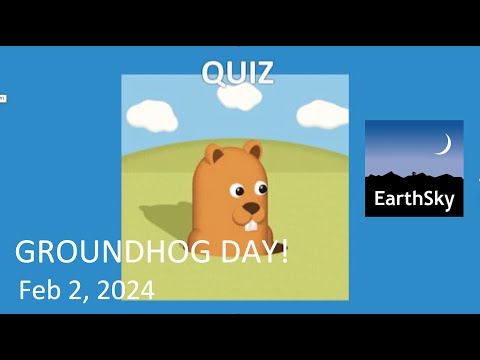 Groundhog Day QUIZ! Test your skills