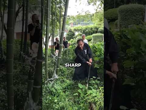 Why Are Katanas So Hard To Master? 🤯