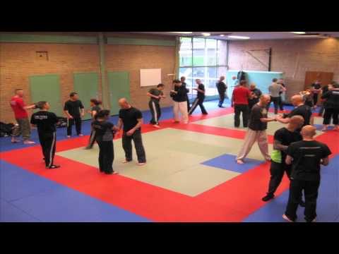 Combat Sambo / Systema Seminar Val Riazanov Timelapse