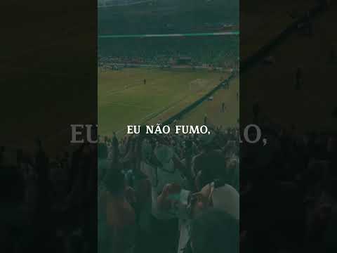 SOMOS PORCO, MUITO LOKO!