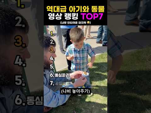 역대급 아기와 동물🫢